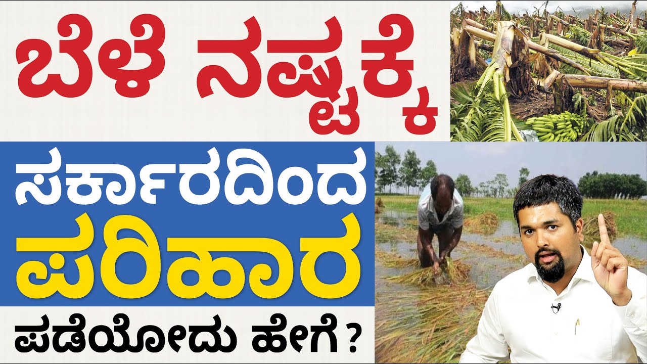 Crop Loss Compensation in Kannada - How Farmers Can Get Compensation Without Crop Insurance?