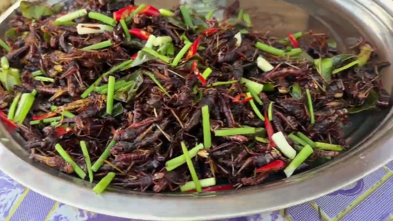 នាយក្រិនទៅកោះប៉ែន