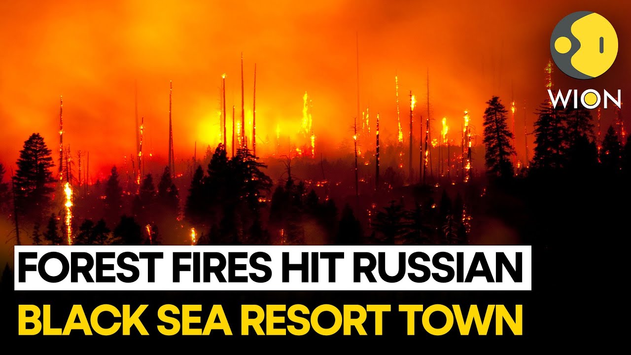 Forest fires hit Russian Black Sea resort town l WION ORIGINALS
