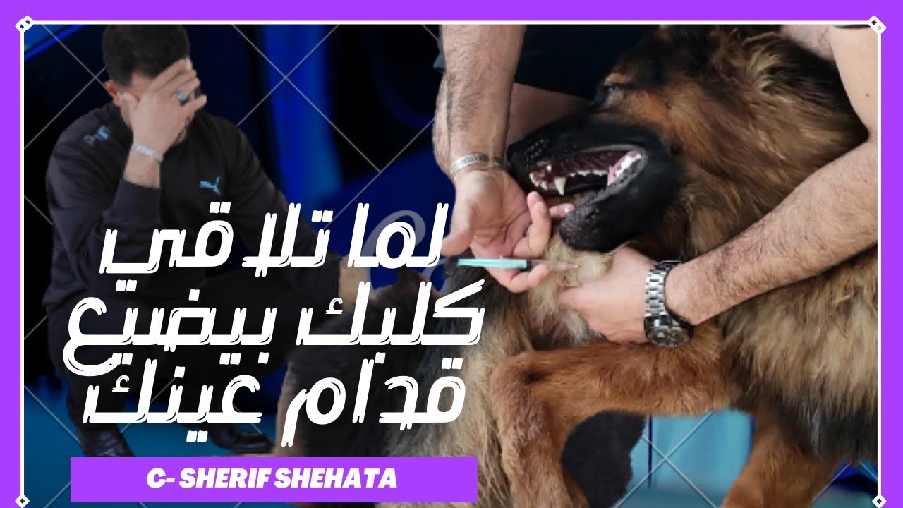 كيفيه علاج الحساسيه والهرش والفطريات والقراض مع كابتن شريف شحاته
