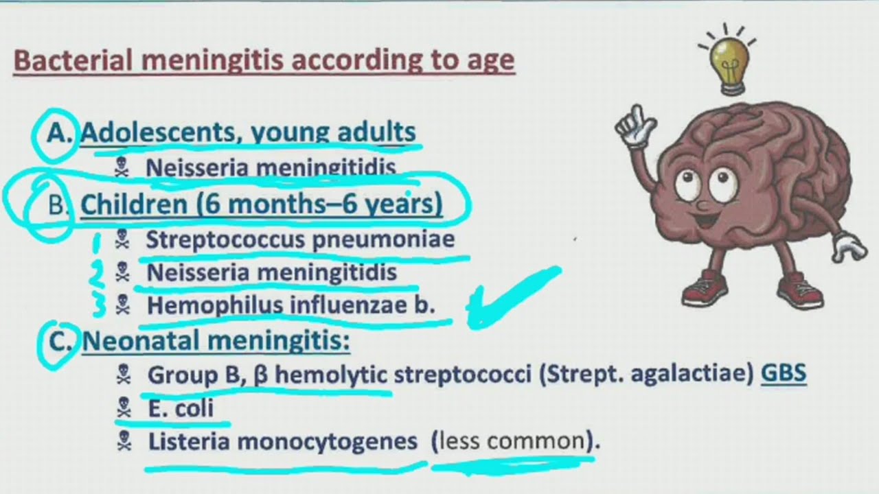 1- CNS Module ( Microbiology ) 《 الجهاز العصبي 》2022 للدكتور احمد عصام