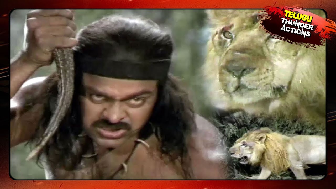 Chiranjeevi Most Popular Power Pack Action Scenes || التيلجو أفضل مشاهد العمل