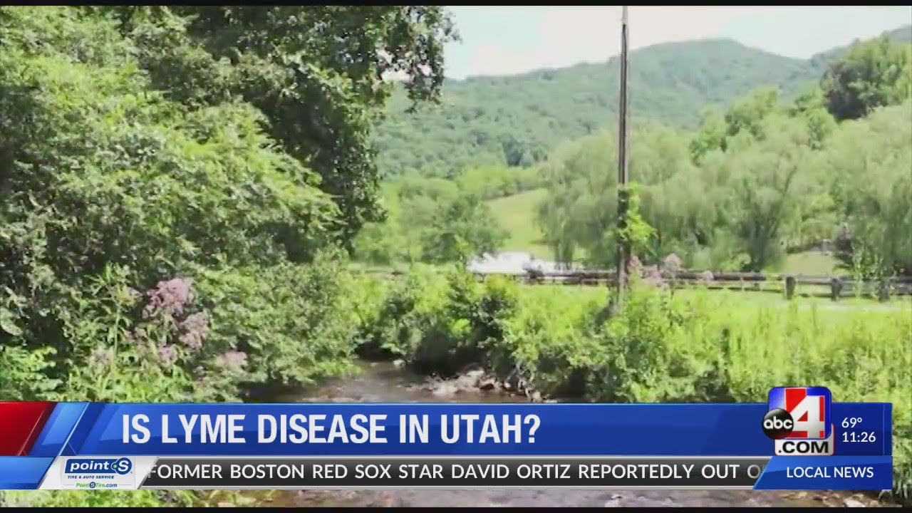Utah Coalition for Lyme Disease
