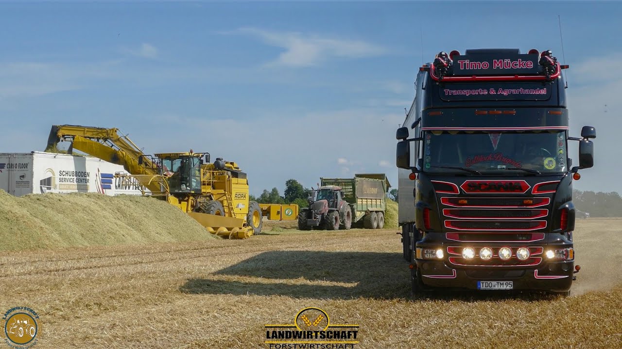 DIE GROßE HÄCKSELFLOTTE Vom Lohnunternehmen Timo Mücke! Großauftrag Ganzpflanzensilage Häckseln 2021