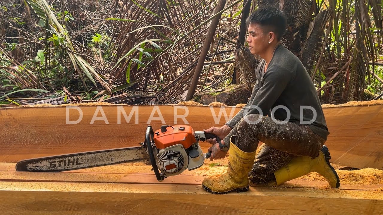 PROSES PEMBUATAN BALOK DARI KAYU DAMAR RAWA || CHAINSAW STIHL 070