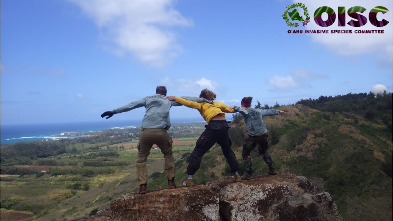 OISC Field Work Video