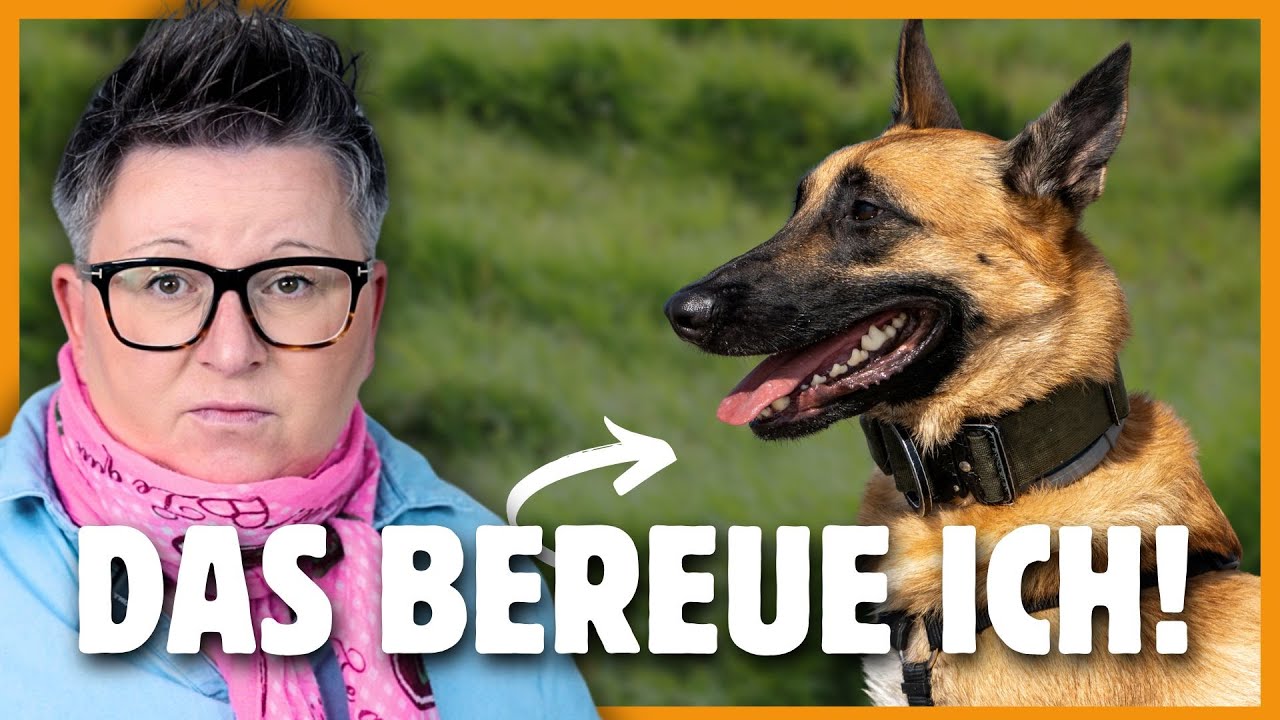 FEHLER Hundeerziehung I 😩 Das BEREUE ich sehr - Teil 2