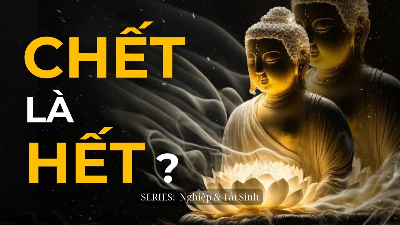 Con Người Chết Rồi Đi Đâu | Series Nghiệp & Tái Sinh | Trí Tuệ Phật Học