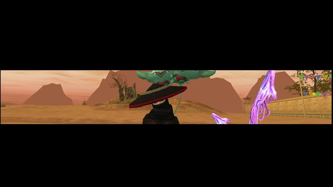 SRO Thief Vs Hunters LVL100 BOW STR