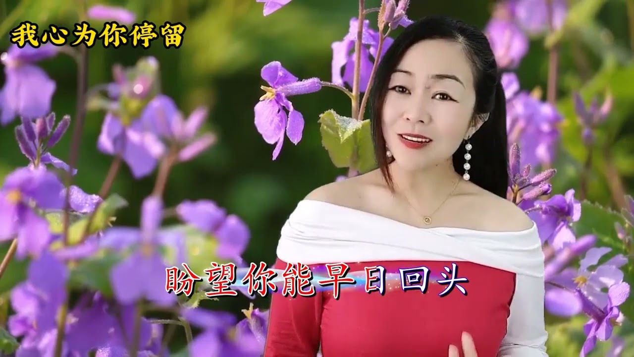 新歌推荐《我心为你停留》旋律忧伤，歌声凄美句句入心
