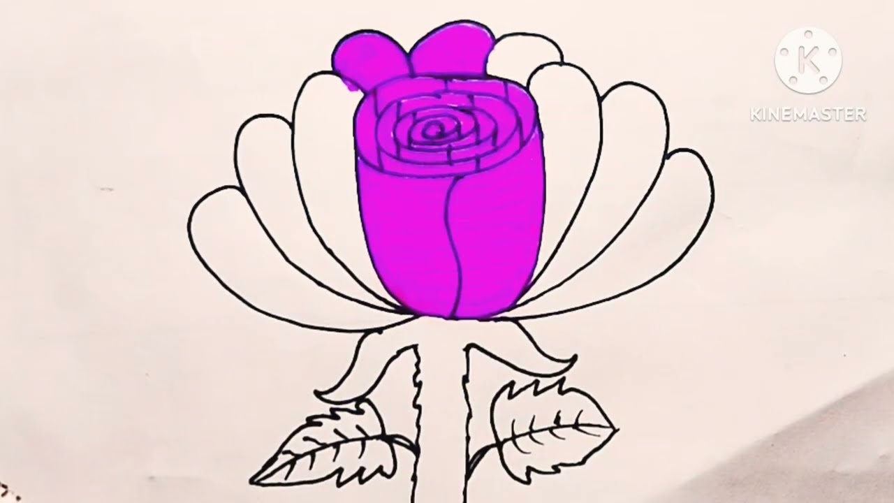 How to drow easy flower drowning ll Easy beautiful coloring step by step pencil stick flower panting