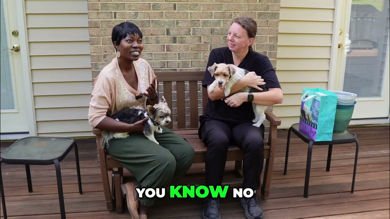 From Seizures to Friendship: Life with Two Rescue Dogs 🐾❤️