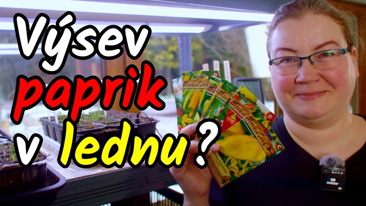 👩‍🌾Výsev paprik v lednu? Kdy vyset a kdy ještě počkat