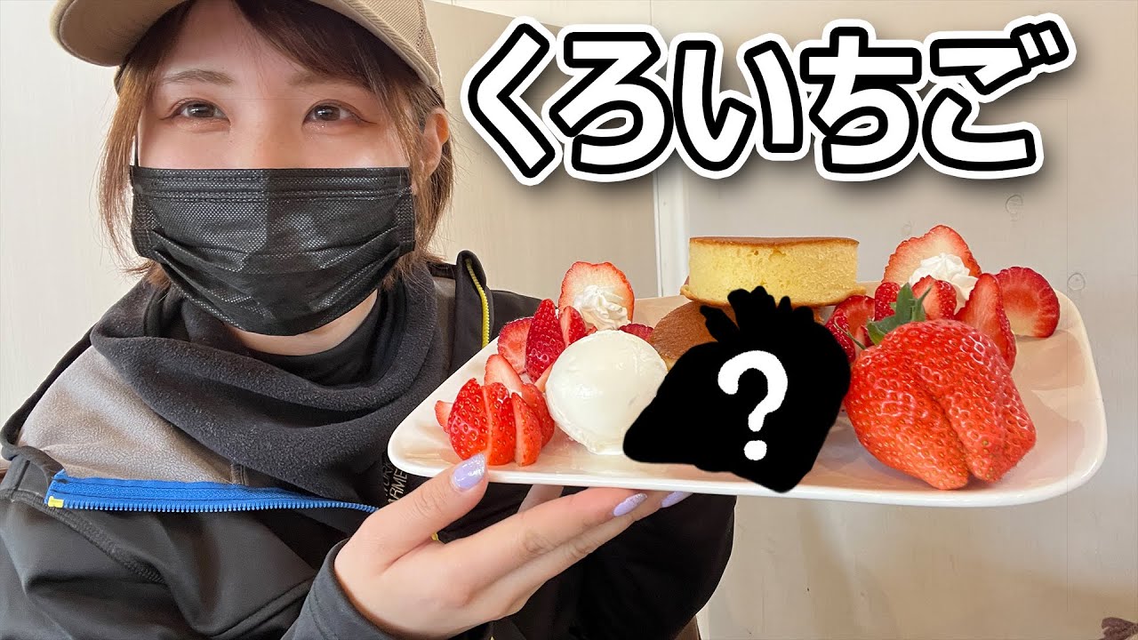 【バイク女子】茂原にあるカフェに食べに行ったくろいちごは最高だった【千葉県】