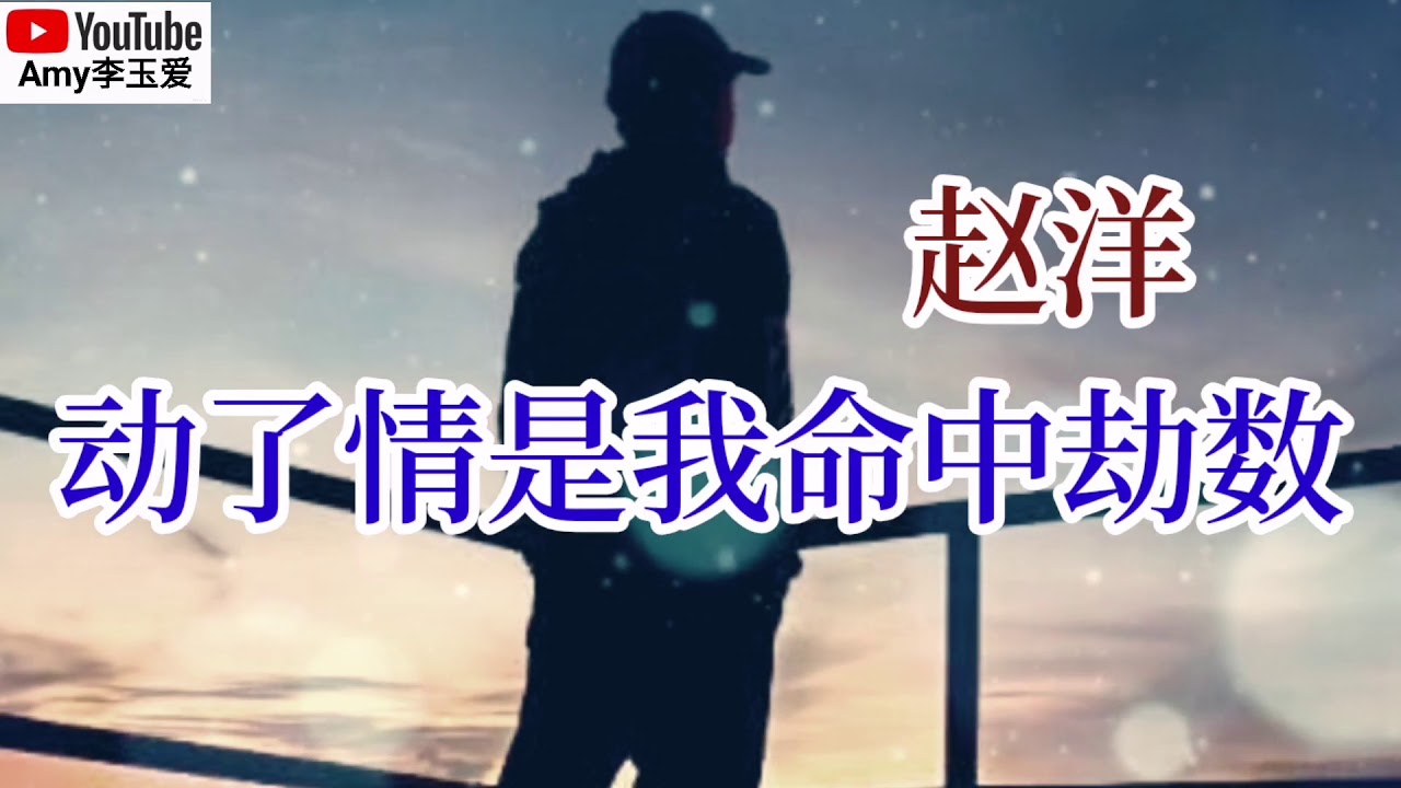 ❤️赵洋【动了情是我命中劫数】❤️