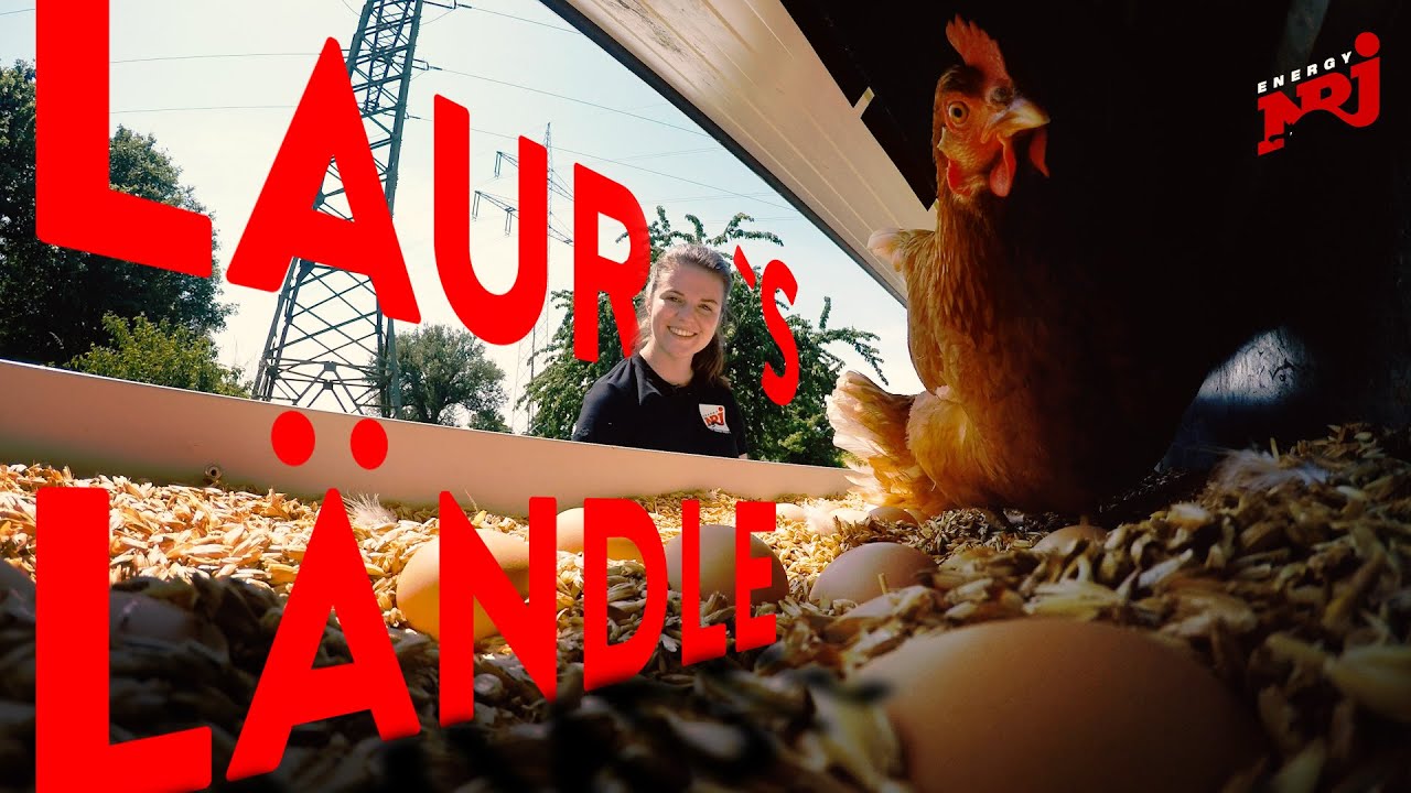 Laura's Ländle  - Aichholzhof