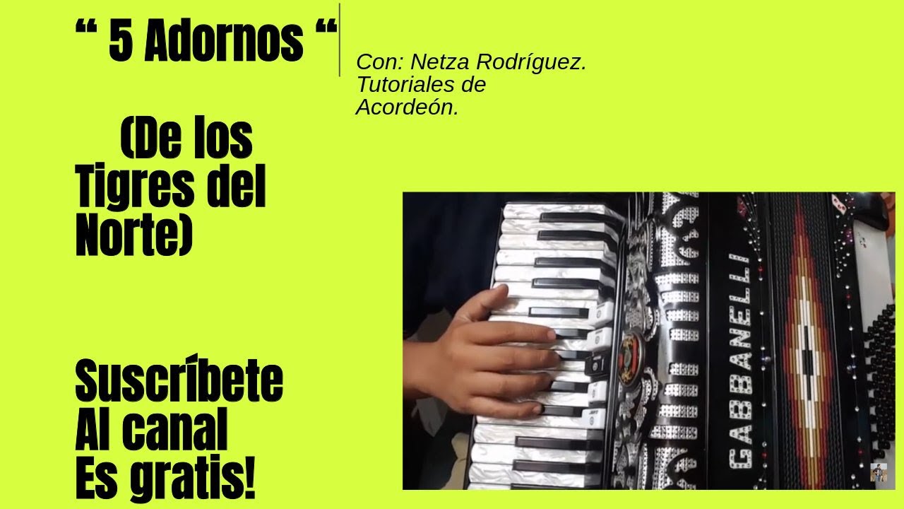 Adornos de acordeon de los tigres del norte - Netza Rodríguez.