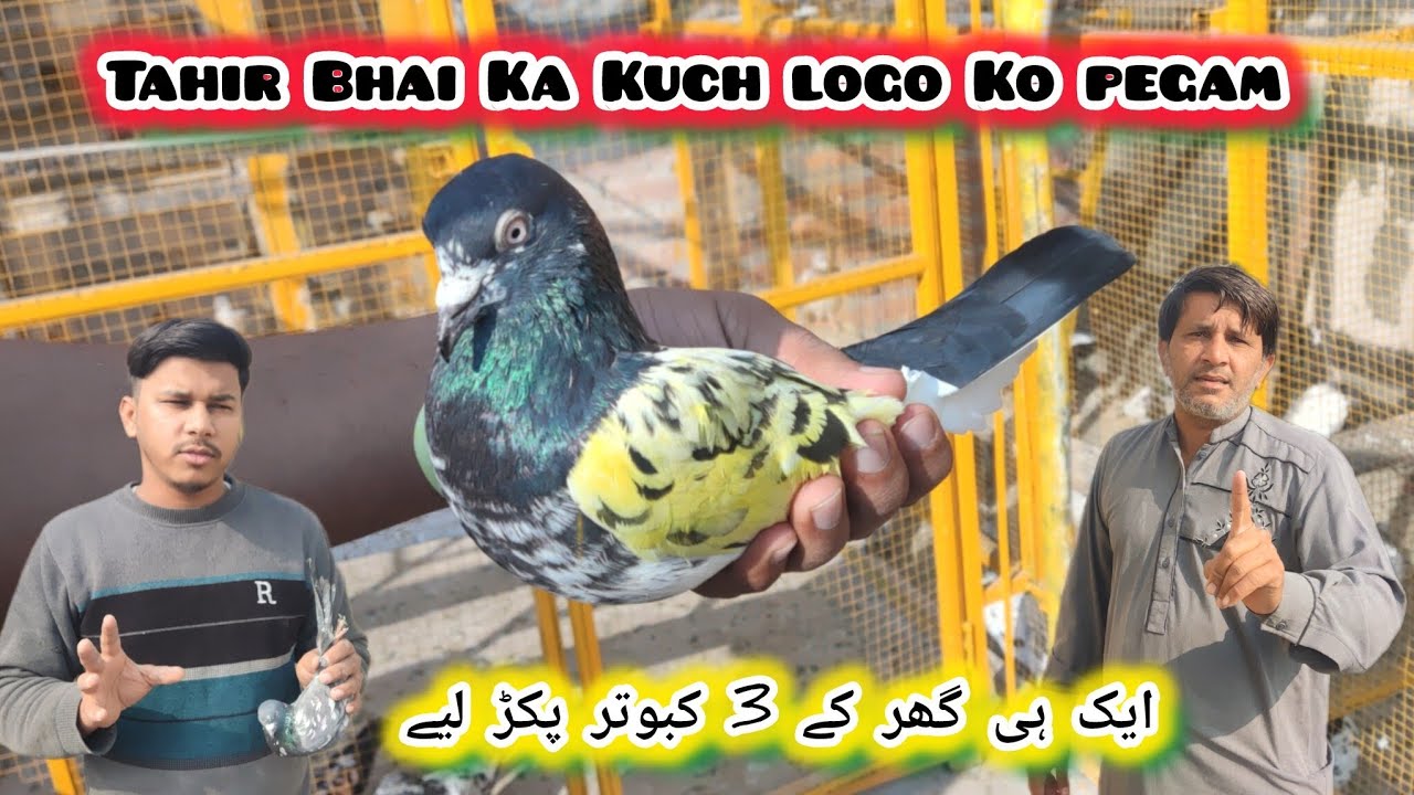 Tahir Bhai Ka Kuch logo Ko tagra pegam 🕊️