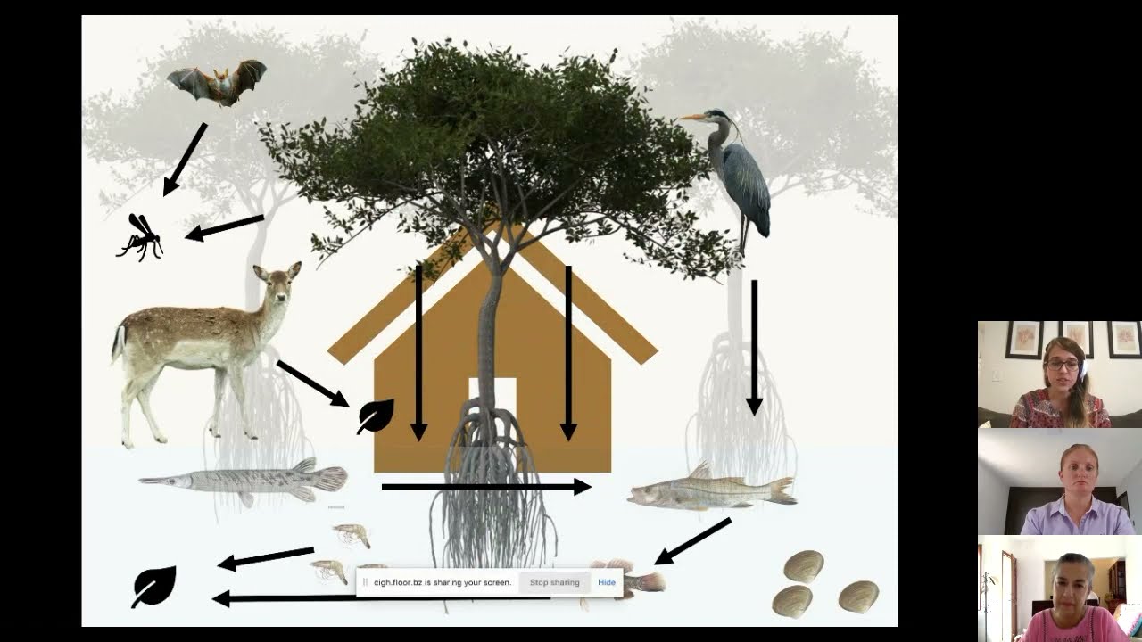 Alsgaard - Aquatic Resource Niche Construction in the Soconusco Region, Mexico