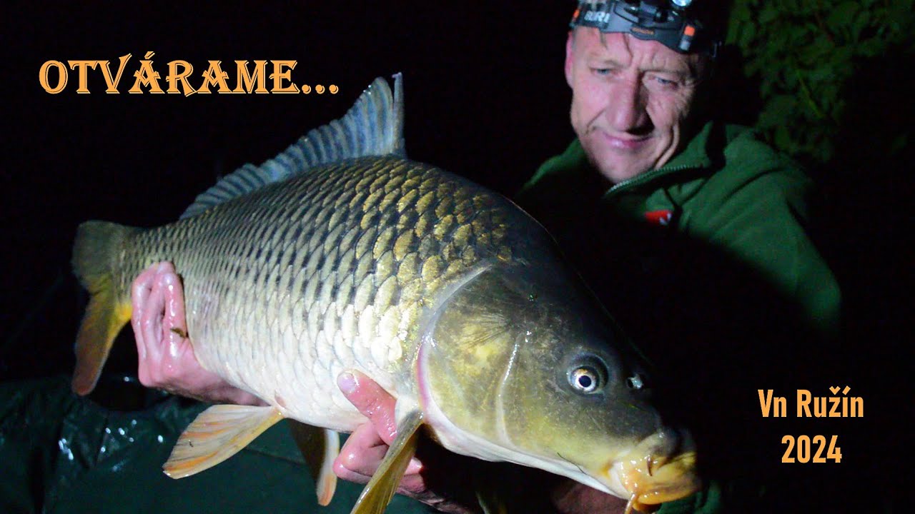 Sezóna 2024 úspešne zahájená ! Lov kapra na VN Ružín #carpfishing #fishing