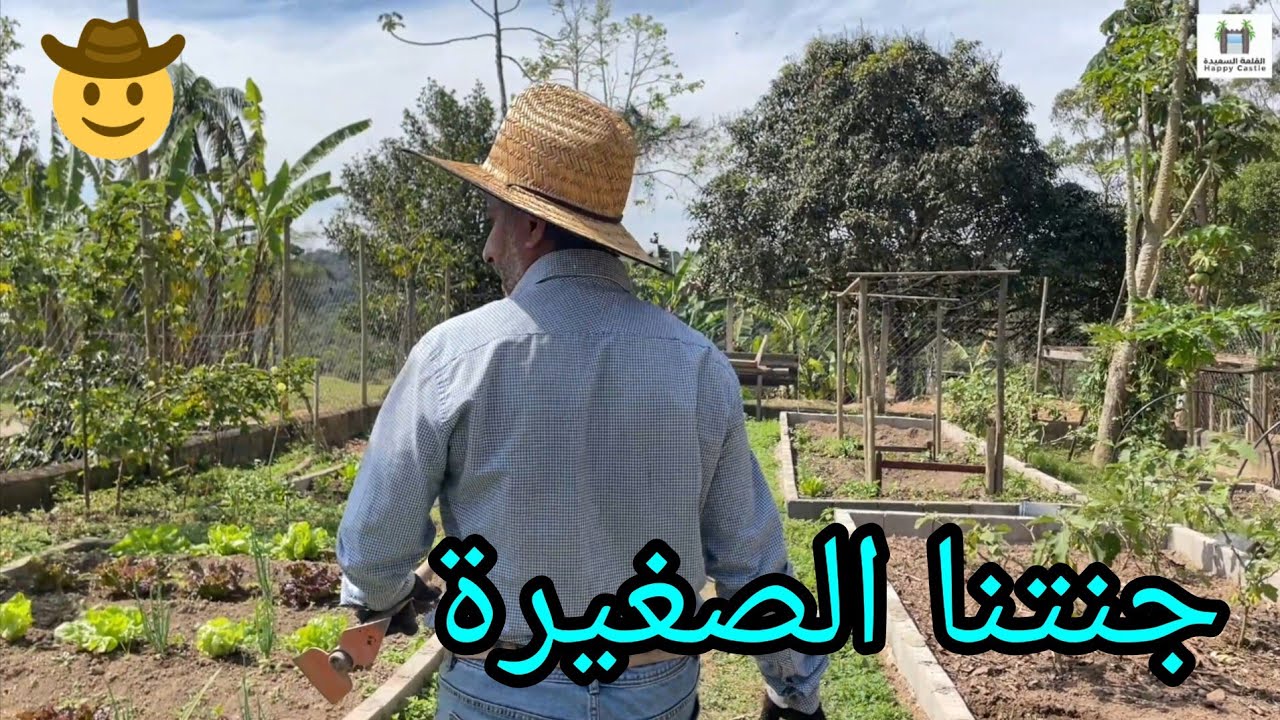أفضل نظام لزراعة الخضروات 🥬🥒🍅🌶  + المشتل بعد التجديد 😀