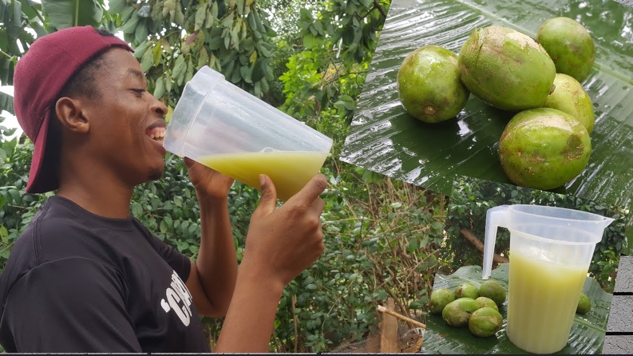 ULTIMATE VEGAN  COCONUT JUNE PLUM JUICE| ITAL
