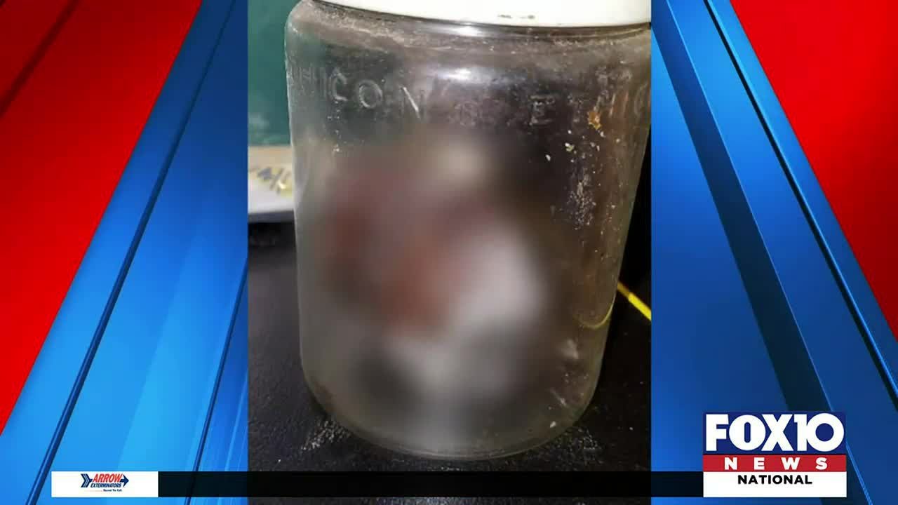 Human remains, fetus and cremated remains found in storage unit