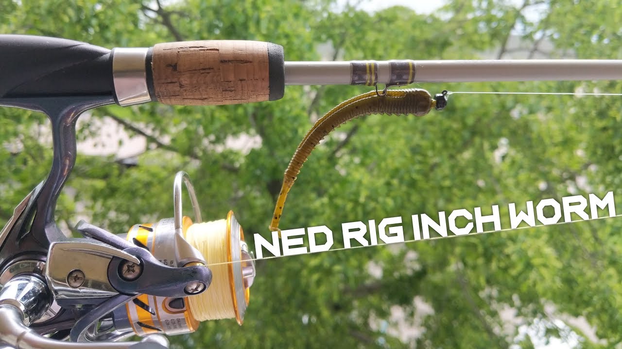 Fishing With the Gene Larew Ned Rig Inch Worm - Unexpected Results!