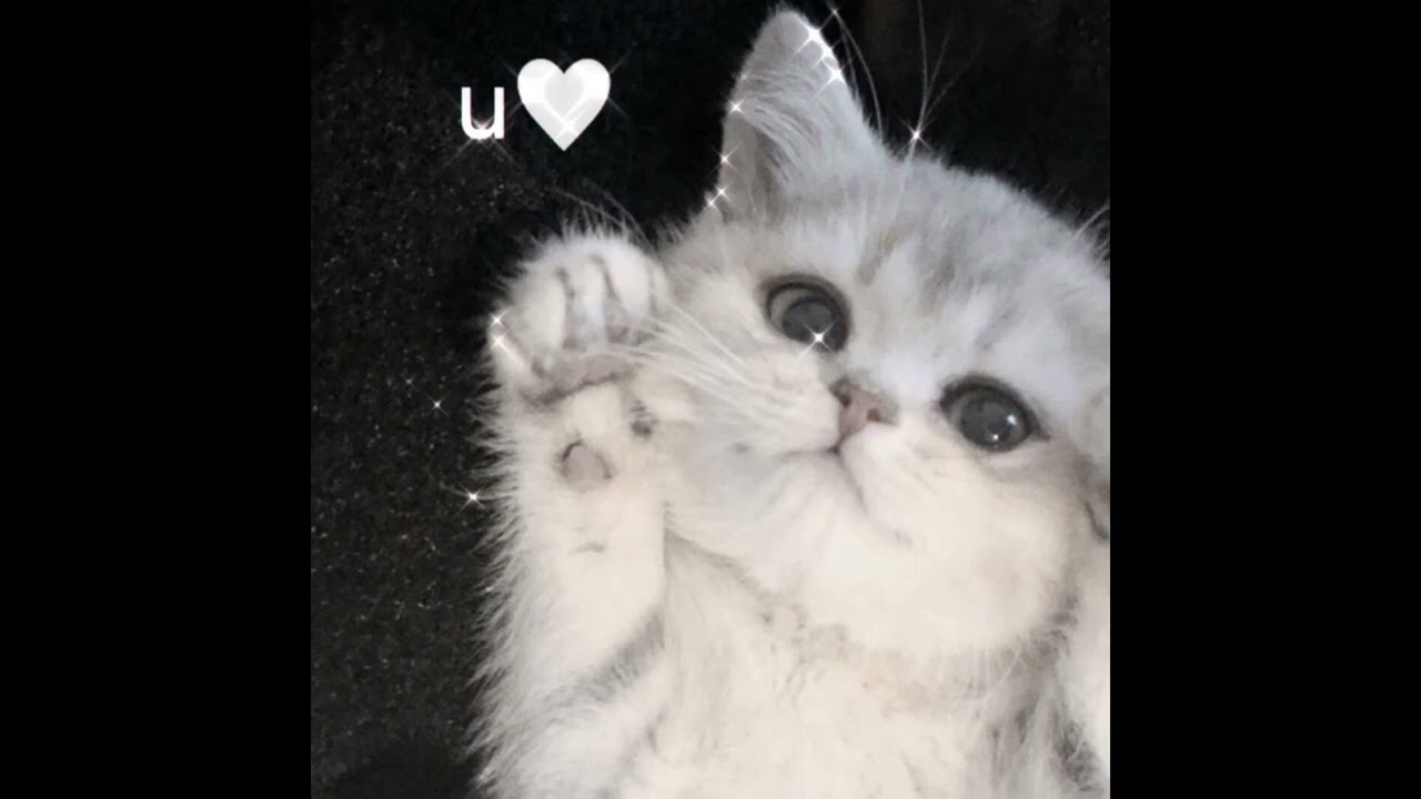 Selena Gomez-love you like a love song. speed up