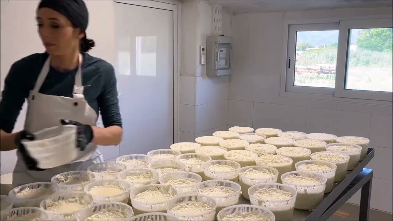 &Egrave; camp&agrave; qu&igrave; in Fiumorbu 4/5 : Xavier et St&eacute;phanie Bartoli, &eacute;leveurs ovins &agrave; Prunelli di Fiumorbu