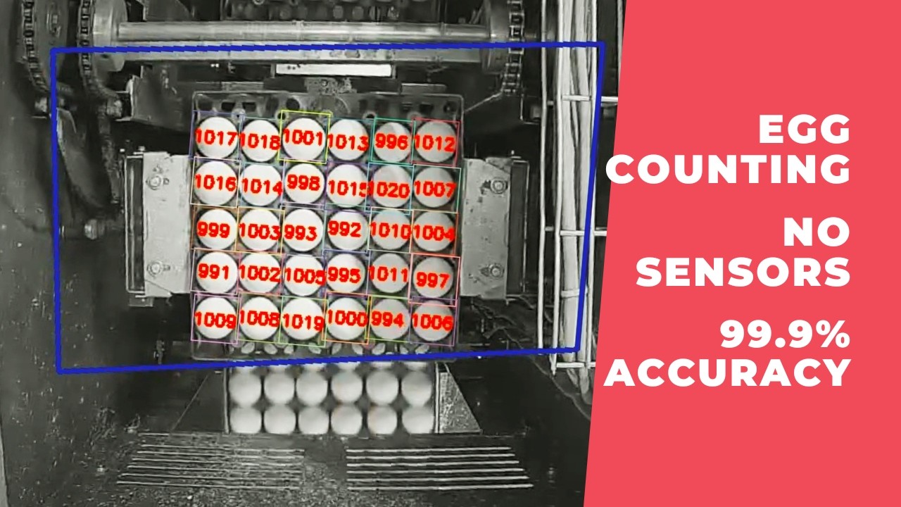 Counting eggs in trays on packaging with a regular surveillance camera