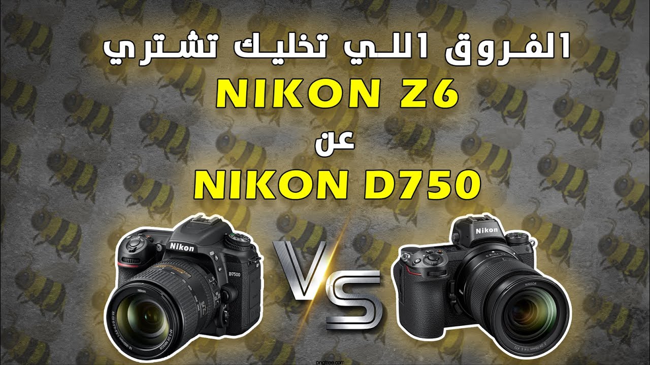 NIKON D750 VS NIKON Z6 / فروق الاستخدام