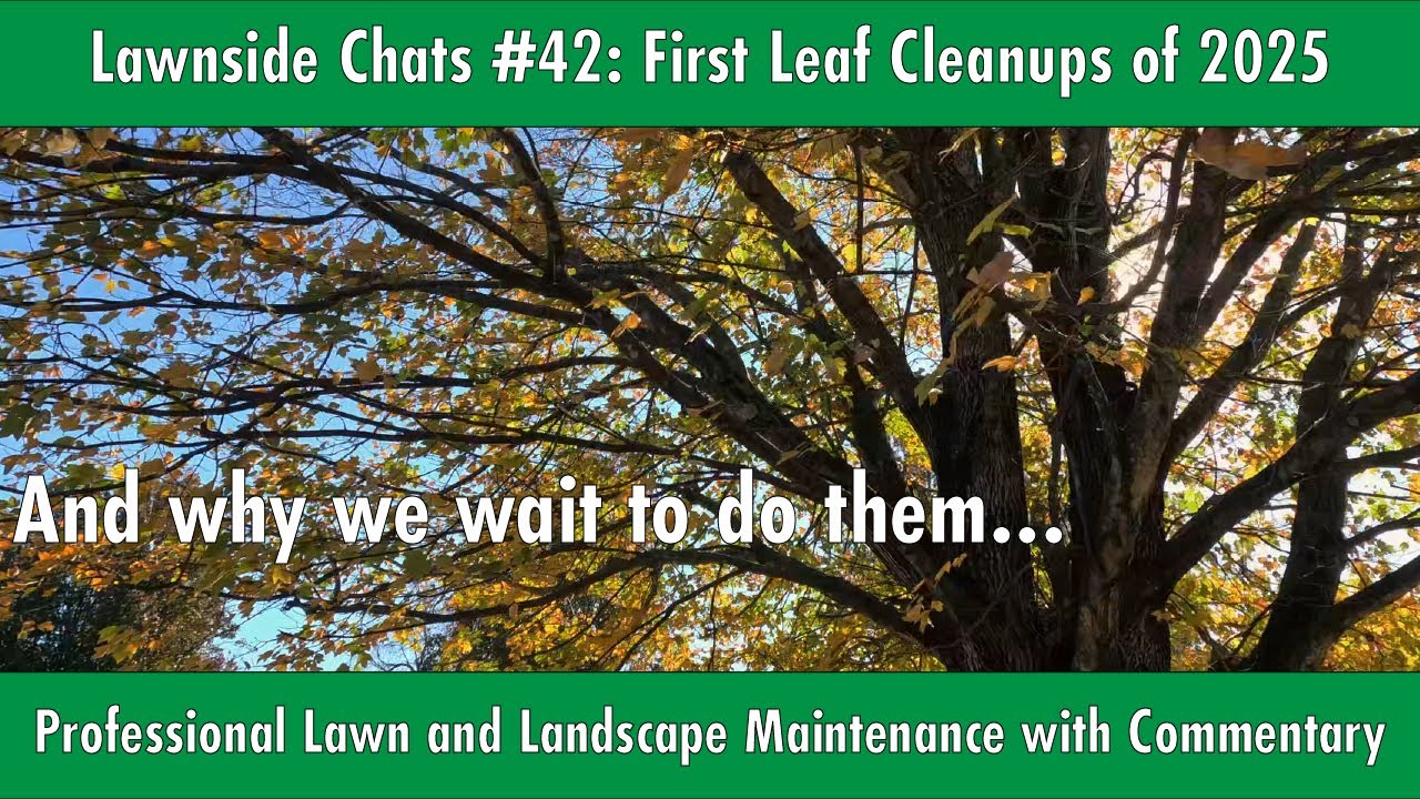First Round of Leaf Cleanups for 2025 | Lawnside Chats 42