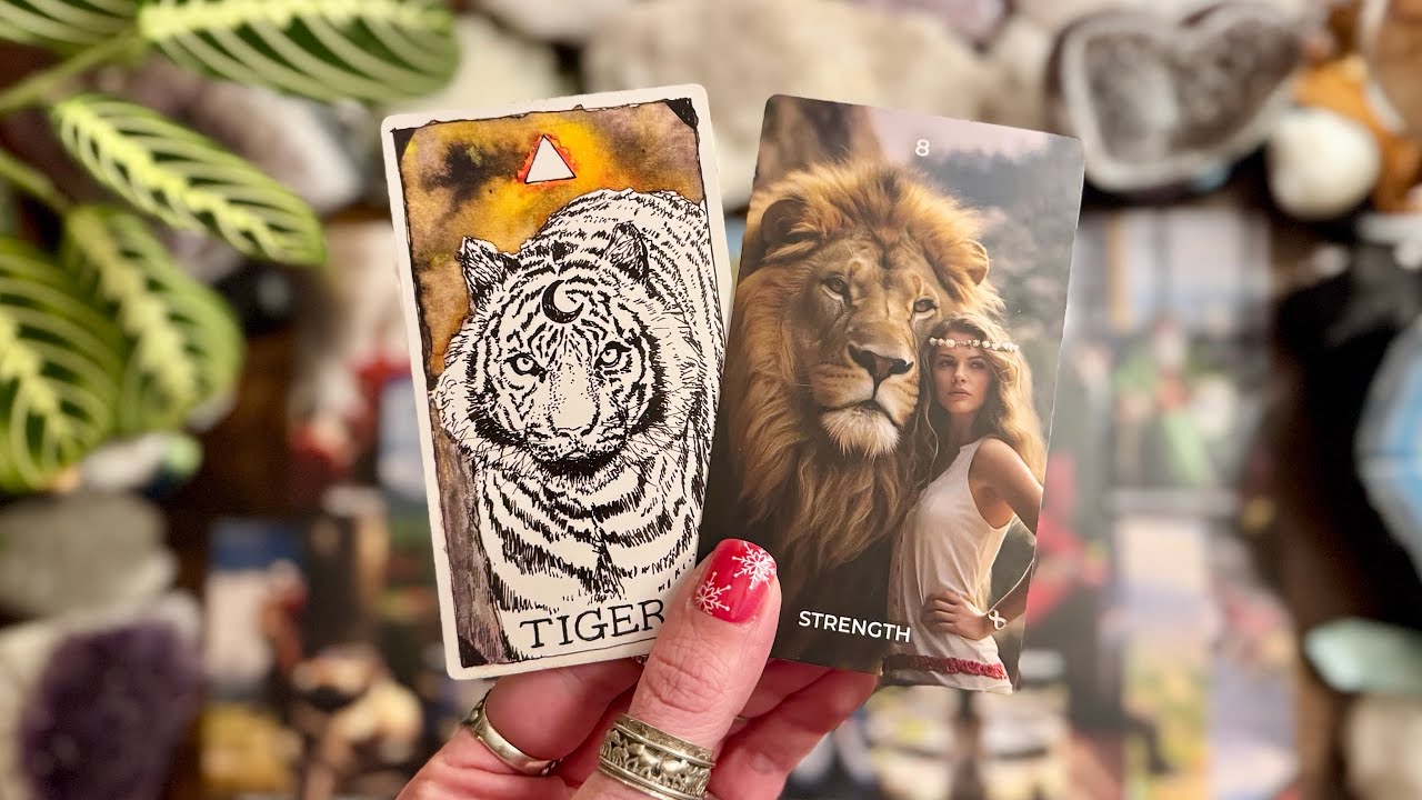 Allow them to take the LEAD! Your power lies in soft awareness! 🐅 TIMELESS LOVE READING 🐅