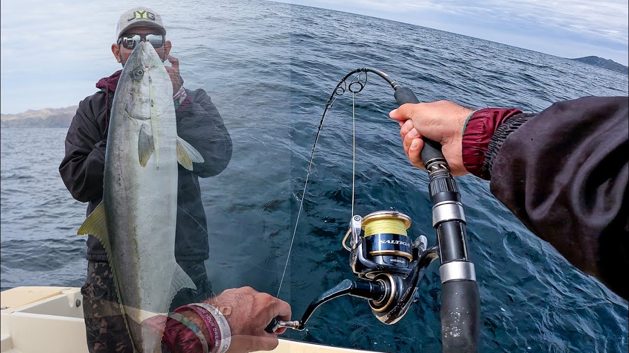 Pescando Jureles Gigantes a Jigging | Pesca en Bahia Asuncion ft @jygprofishing
