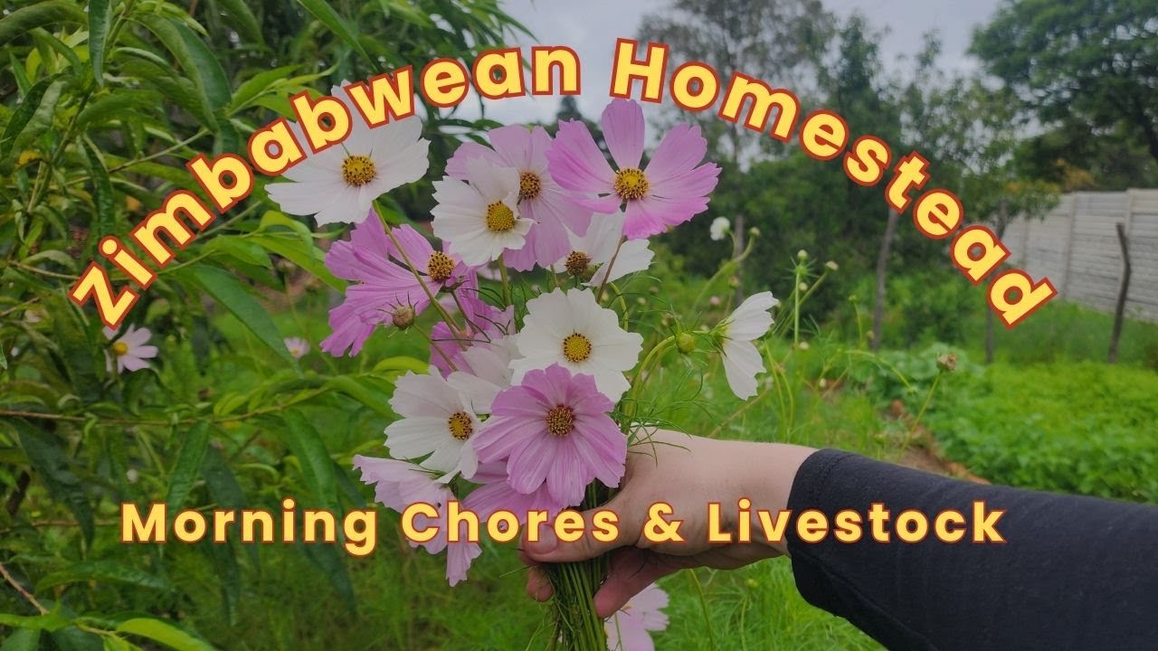 Quiet Morning in the Garden 🌿 | Zimbabwe Homestead Morning Routine (No Talking)