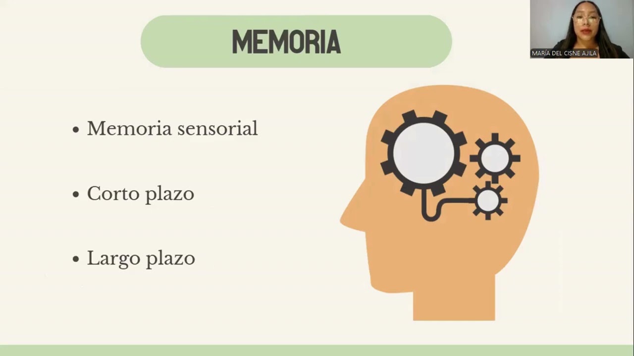 FUNCIONES PSÍQUICAS   SENSACIÓN, PERCEPCIÓN, ATENCIÓN, MEMORIA, APRENDIZAJE, INTELIGENCIA, LENGUAJE