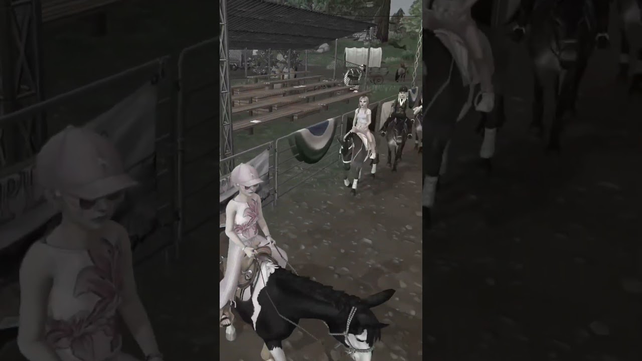 Maultier CLUBTREFFEN #sso #ssonews #starstable #zaaap #shorts