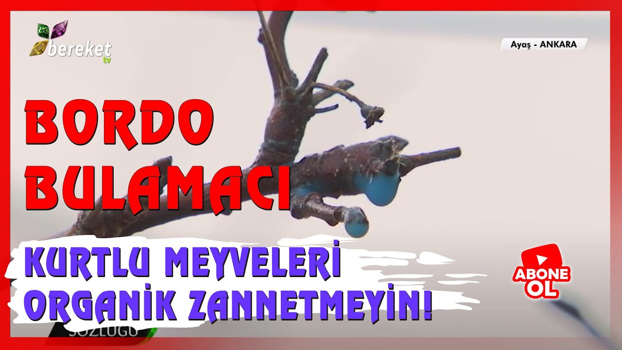Tarım Sözlüğü - Bordo Bulamacı Hazırlanması ve Uygulanması