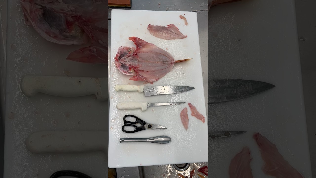 Learn how to butterfly fish by watching my latest YouTube tutorial video!