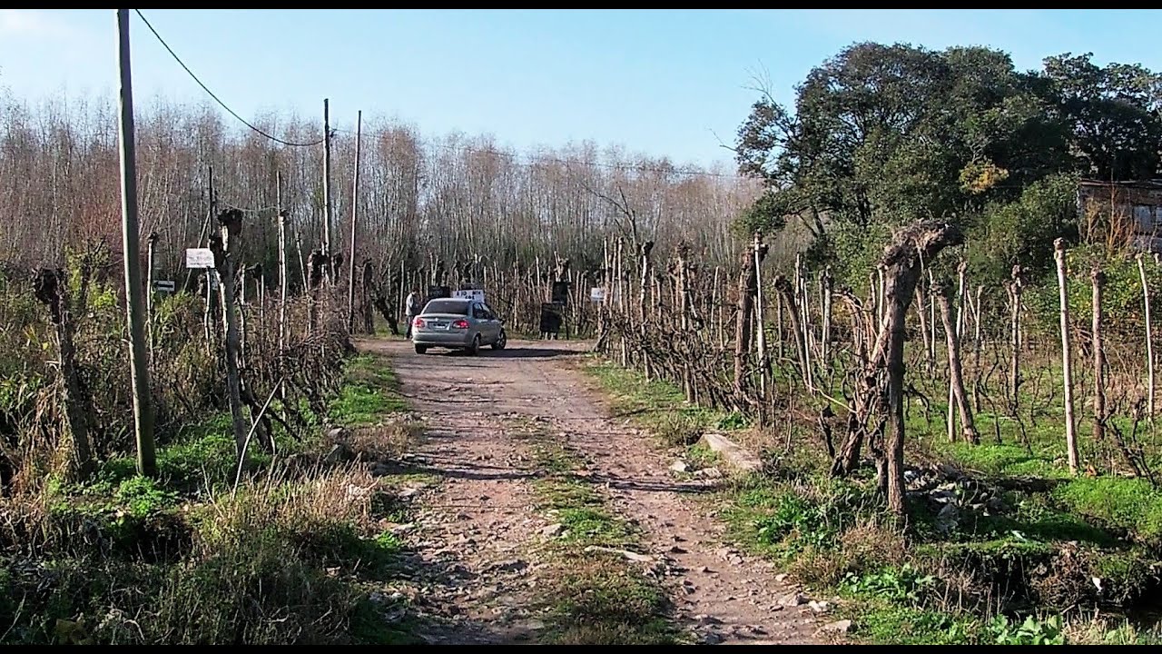 AVELLANEDA driver tour 2021 hd VIÑEDOS de la COSTA del RIO de la Plata-VILLA DOMINICO - Buenos Aires