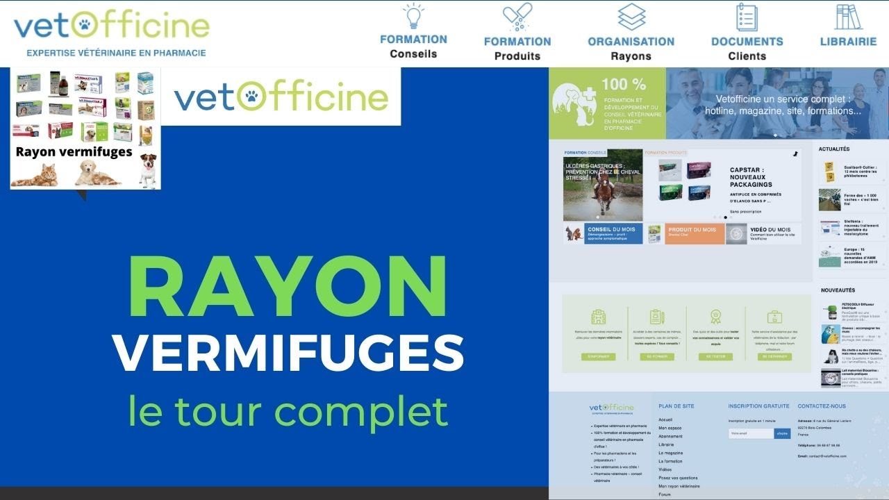 Rayon vermifuges pour chiens et chats en pharmacie.