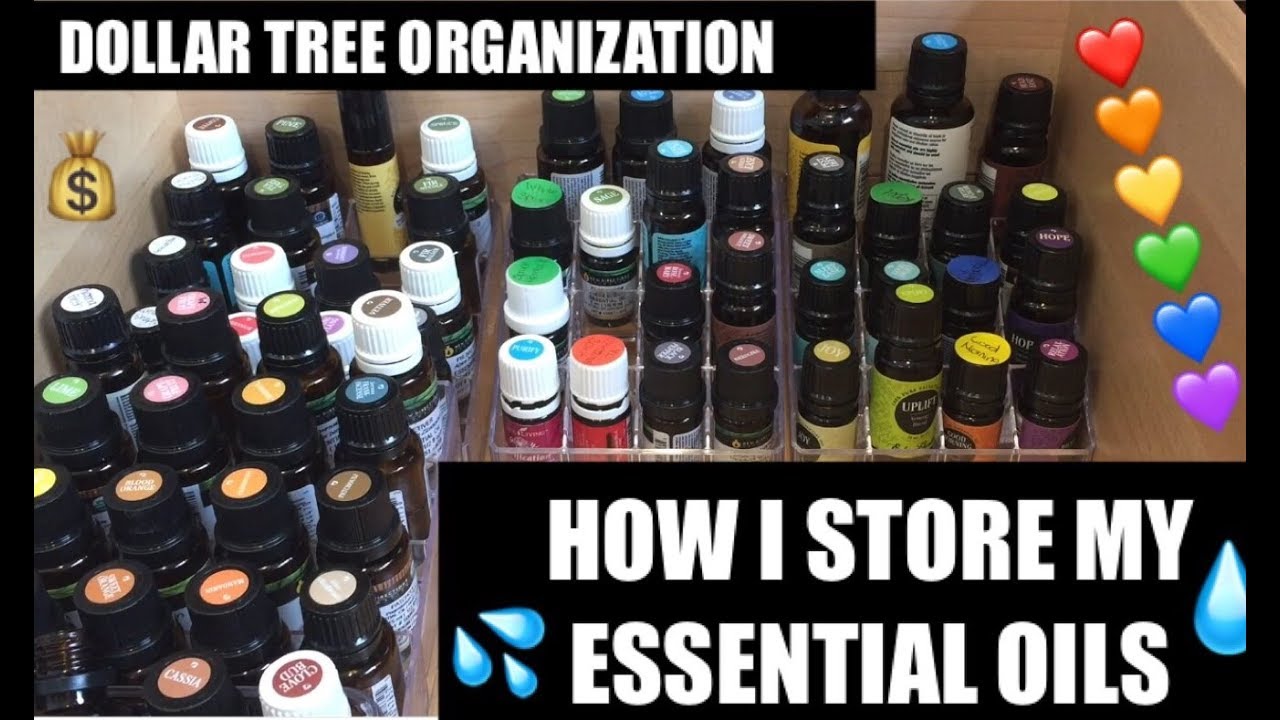 Dollar Tree DIY💧Essential Oils Storage System