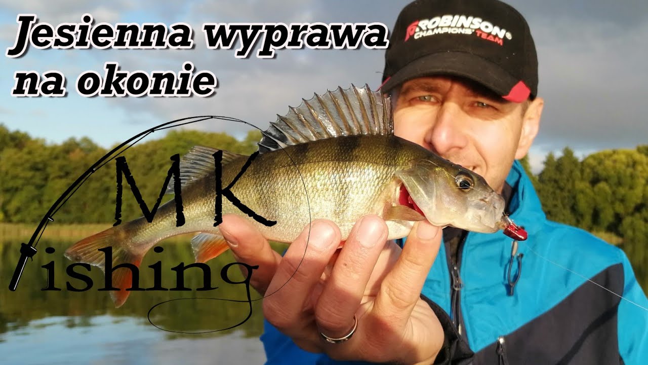 Jesienna wyprawa na okonie | okonie na spinning | jak korzystać z echosondy Element | wędkarstwo
