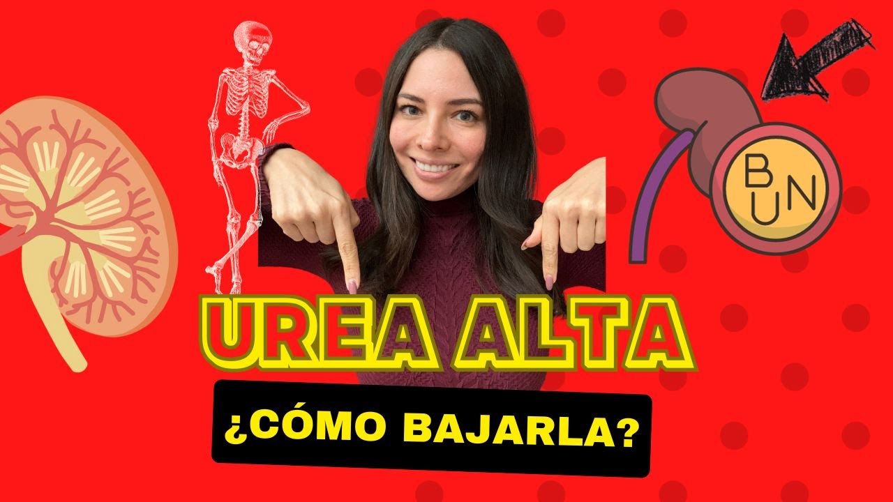 Urea alta y como bajarla