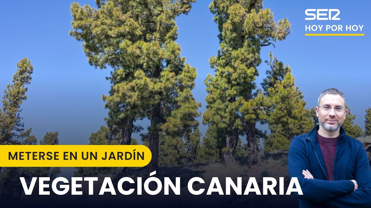 🌲 LA VEGETACIÓN CANARIA, una BELLEZA ÚNICA en el MUNDO | Meterse en un jardín