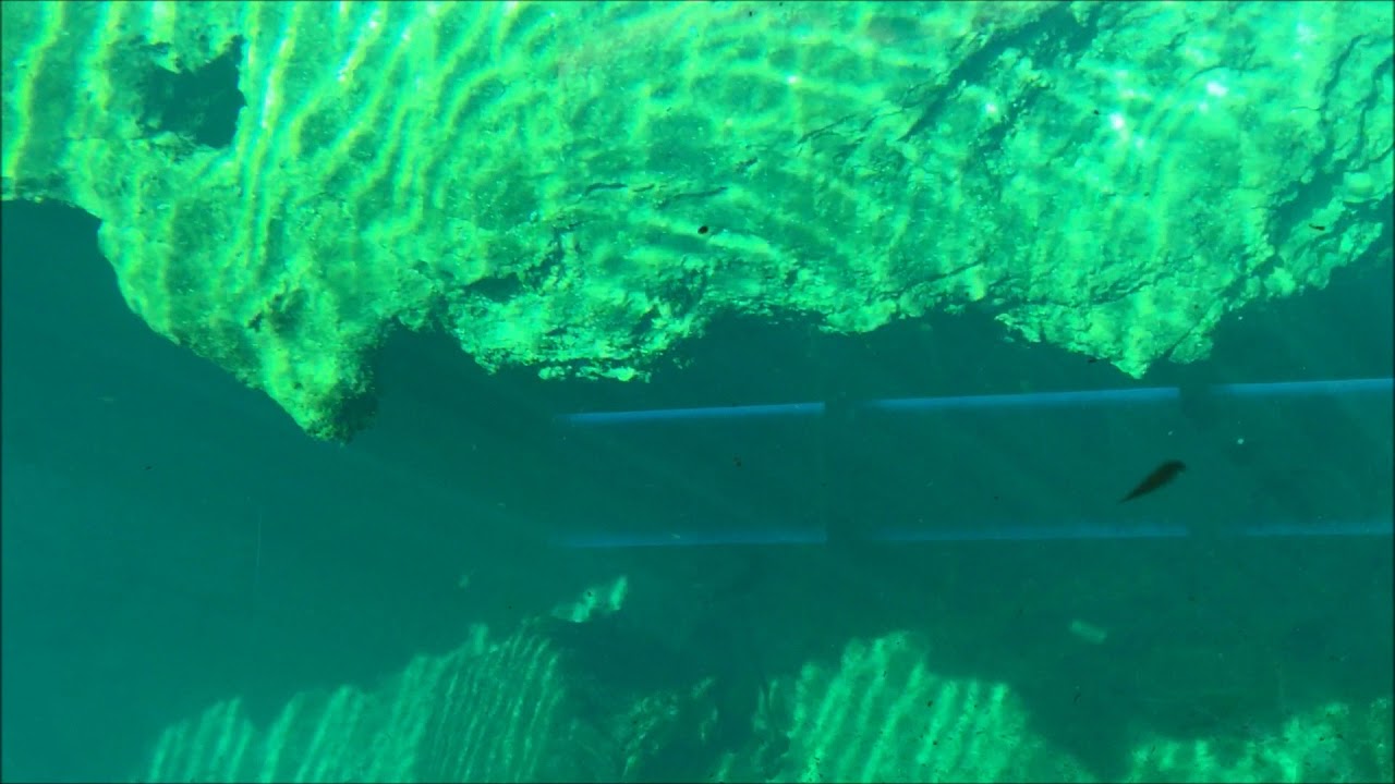 Wakulla Springs Glass Bottom Boat