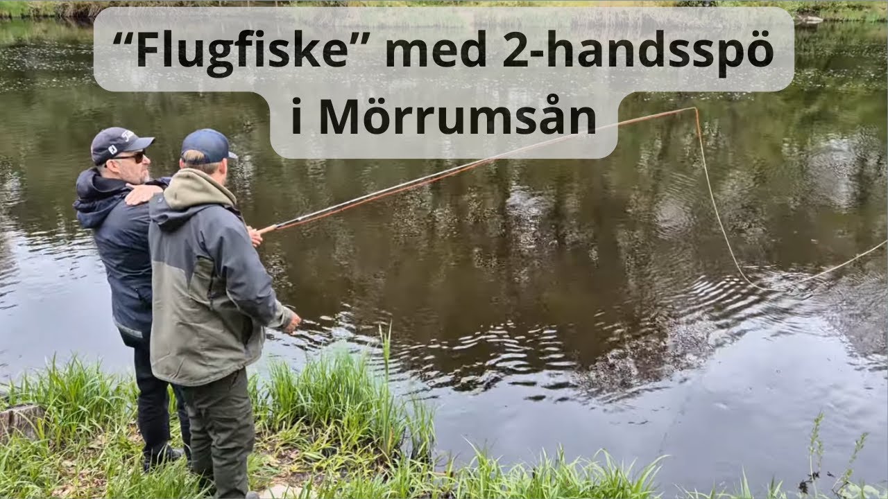 Lär mig (provar på) flugfiske med 2-hands flugspö vid Mörrumsån 2025. Nybörjarinstruktioner i videon