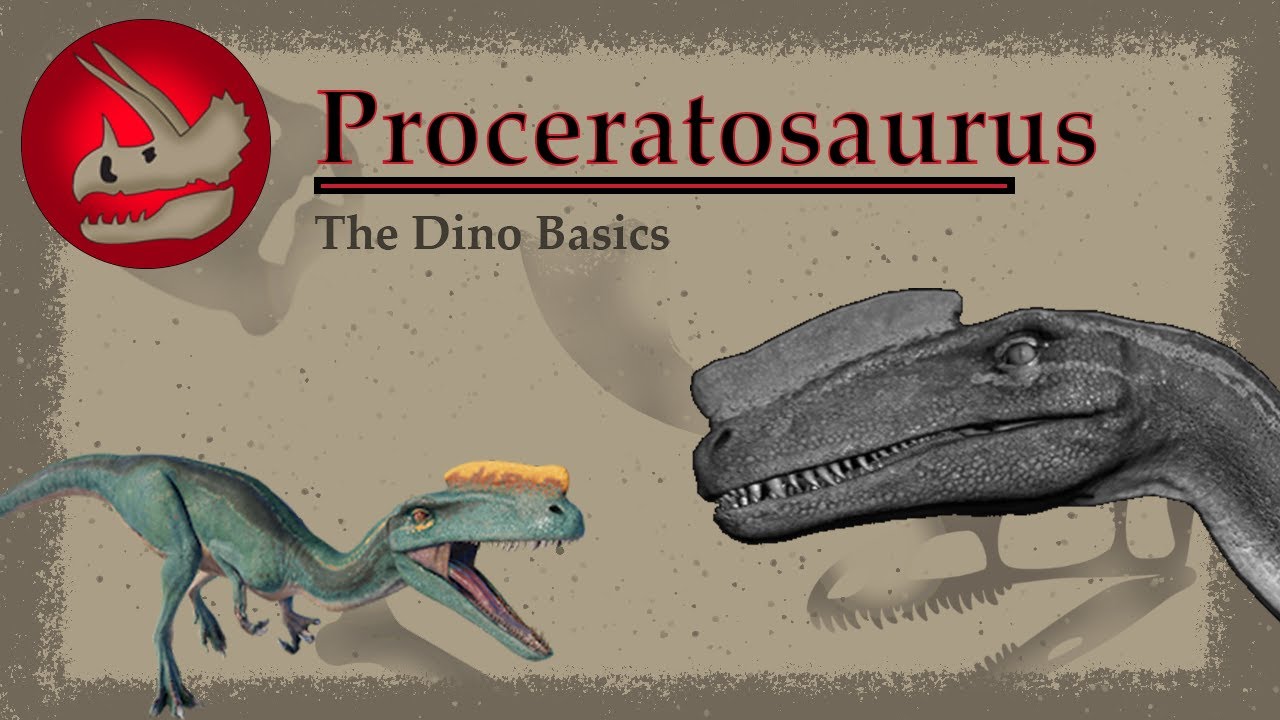 Proceratosaurus | The First Tyrannosaur? | Dino Basics