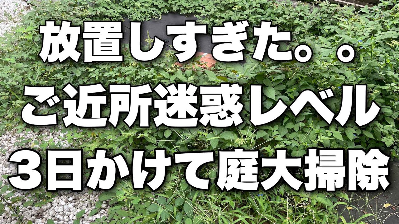 1年間放置と猛暑で荒れ地になった庭を本気で大掃除します。